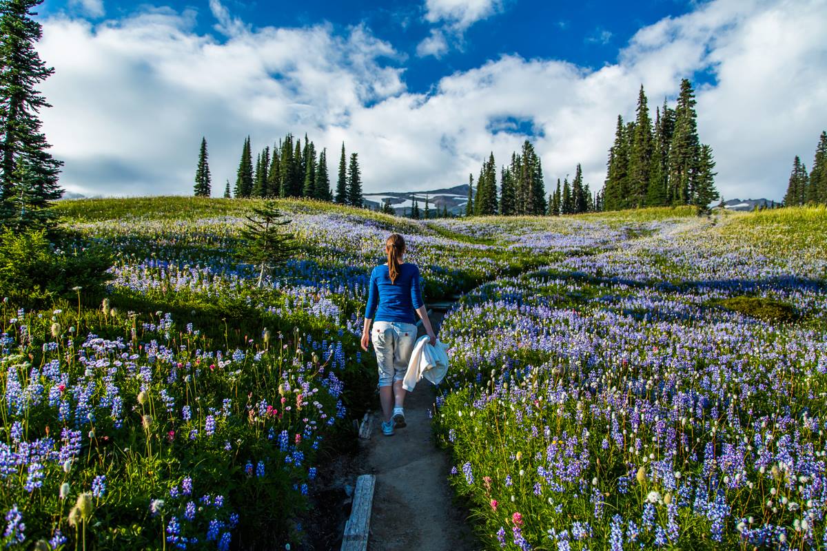 Nature is the best healer