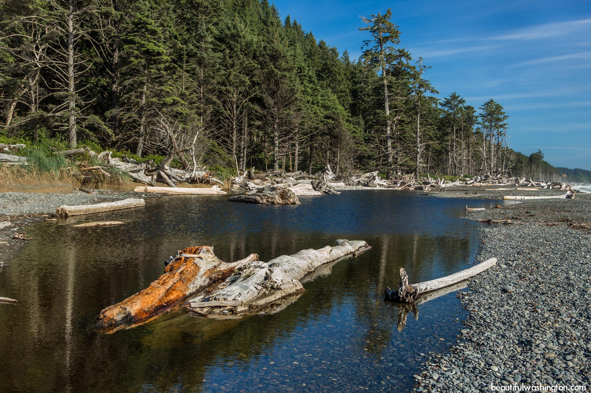 Hole in the Wall 51 Photo from Olympic Peninsula, Hole in the Wall
