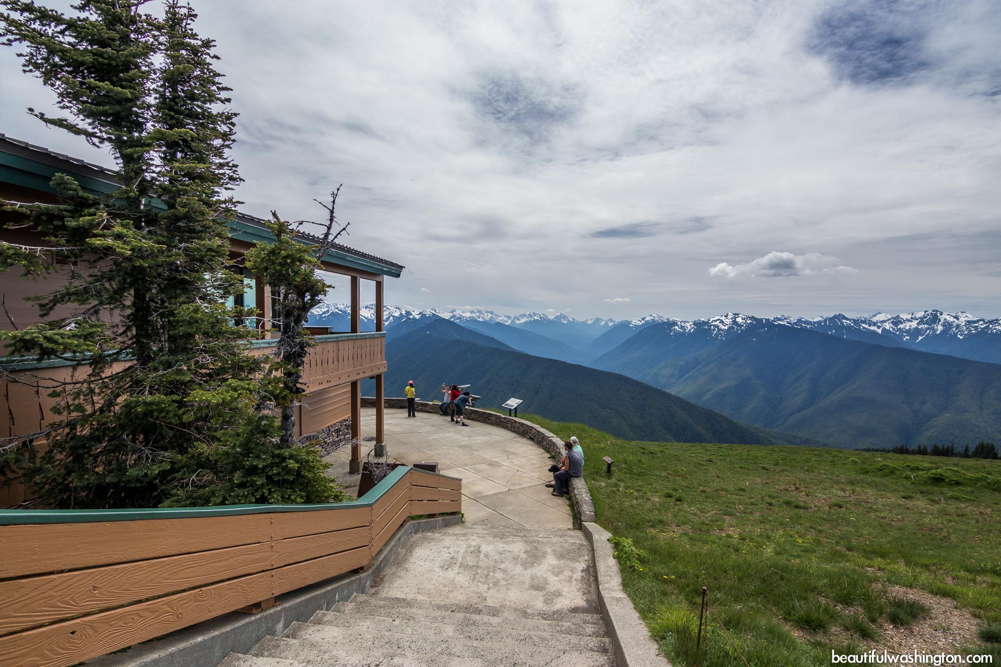 Hurricane Ridge Visitor Center 17