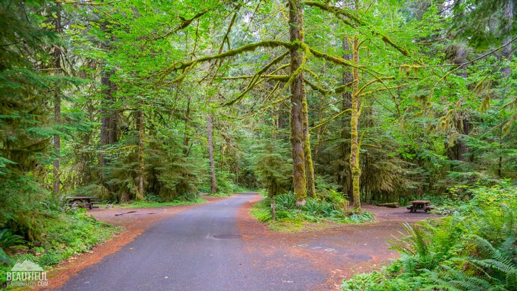 Iron Creek Campground