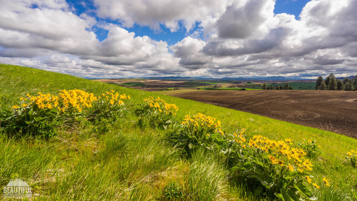 Kamiak Butte County Park