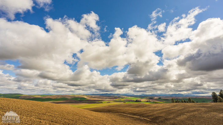 Photo taken at Kamiak Butte County Park, Whitman County
