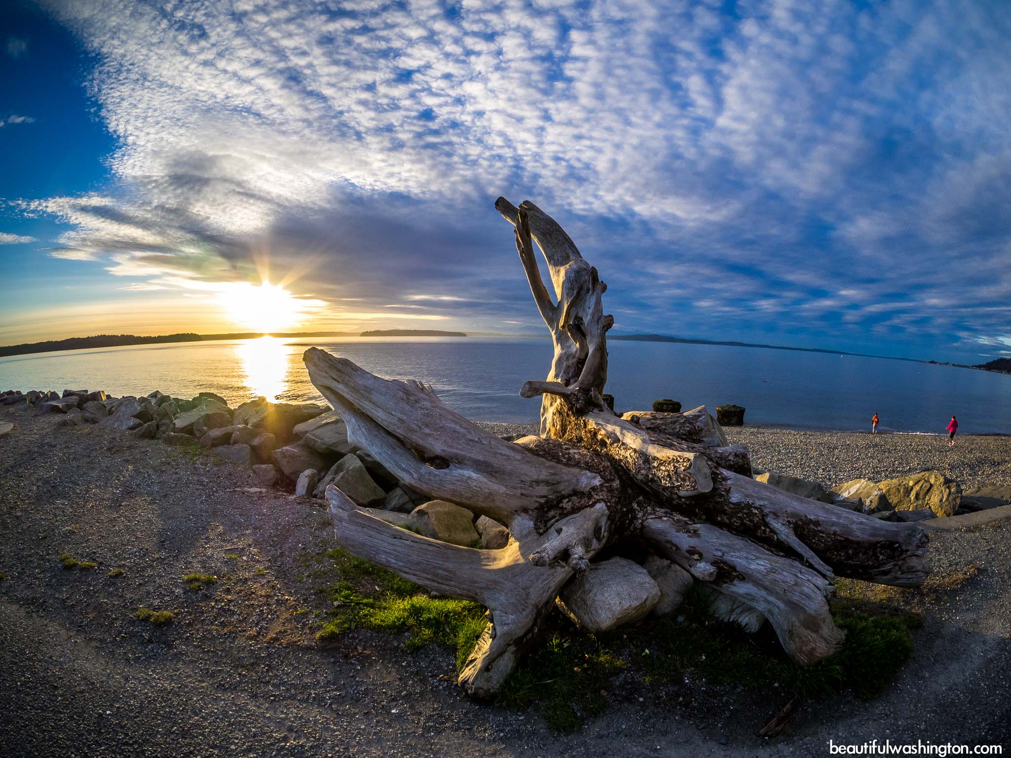 Lincoln park 22