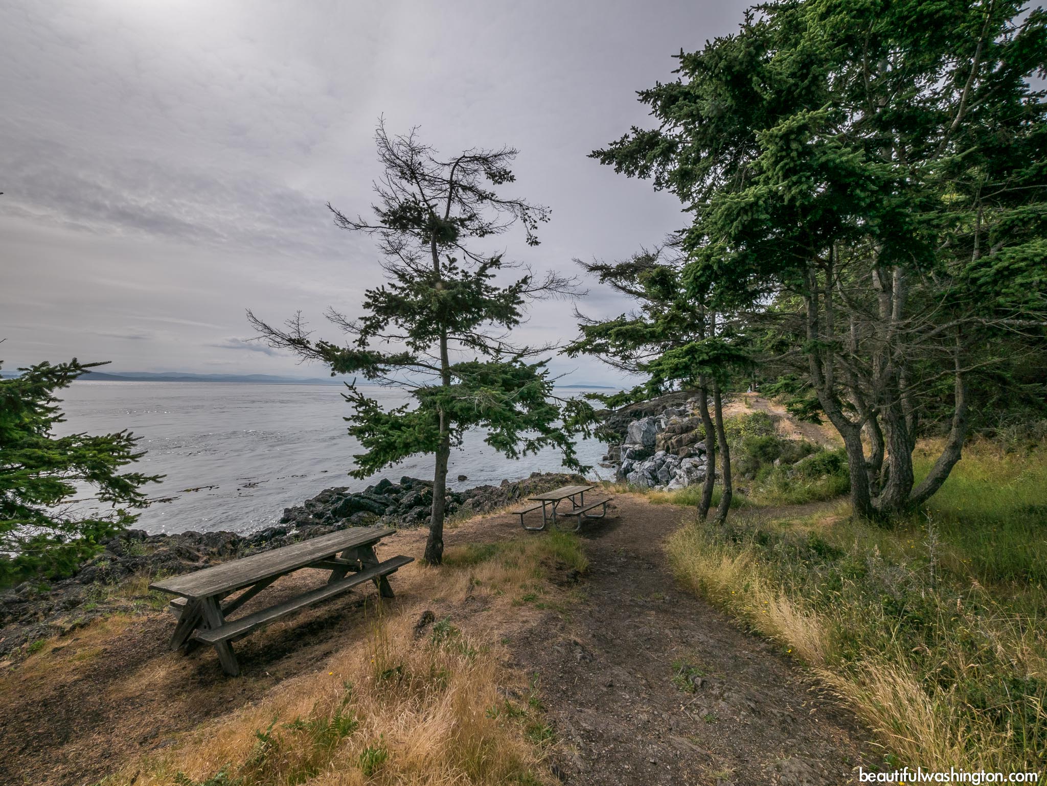 Lime Kiln State Park 14