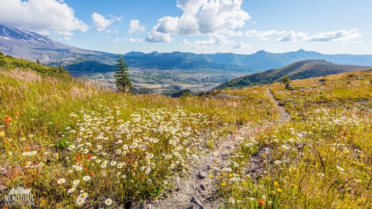 Photo from Loowit Viewpoint, Mount St. Helens Area, South Cascades