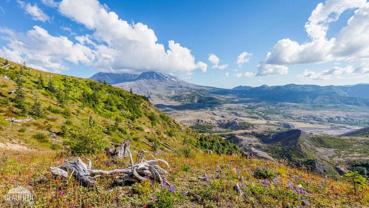 Photo from Loowit Viewpoint, Mount St. Helens Area, South Cascades