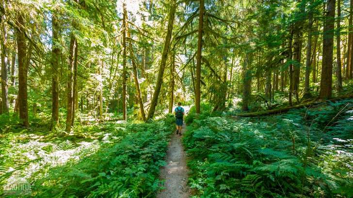 Cutthroat Pass Trail
