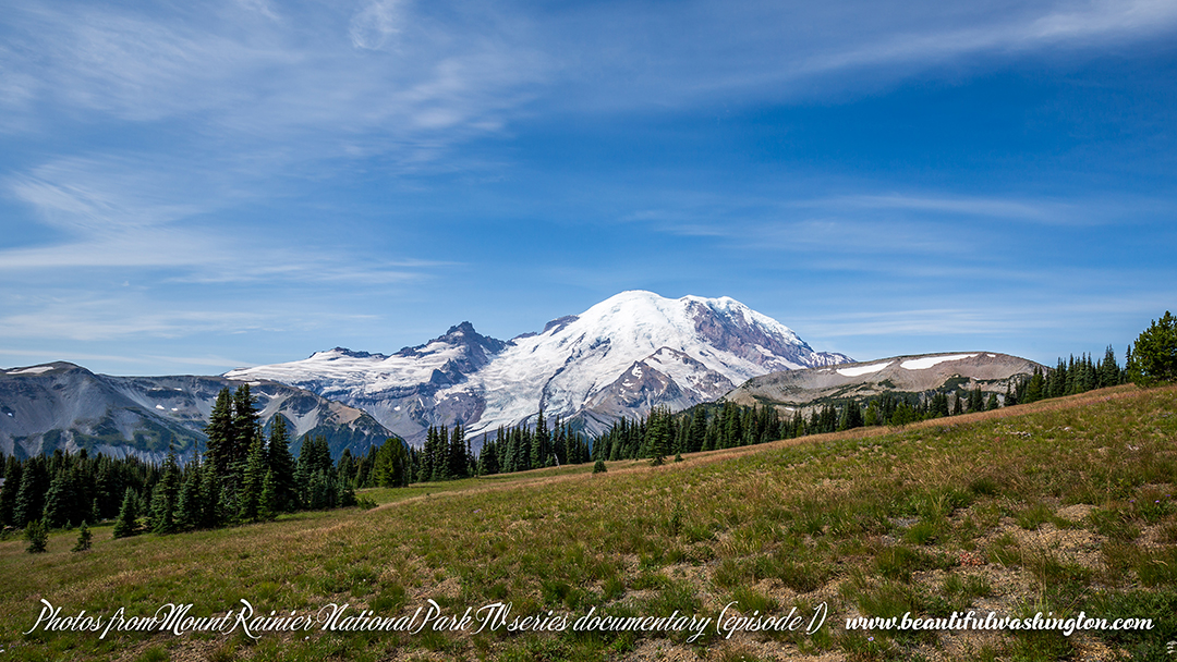 Photo from Mount Rainier National Park