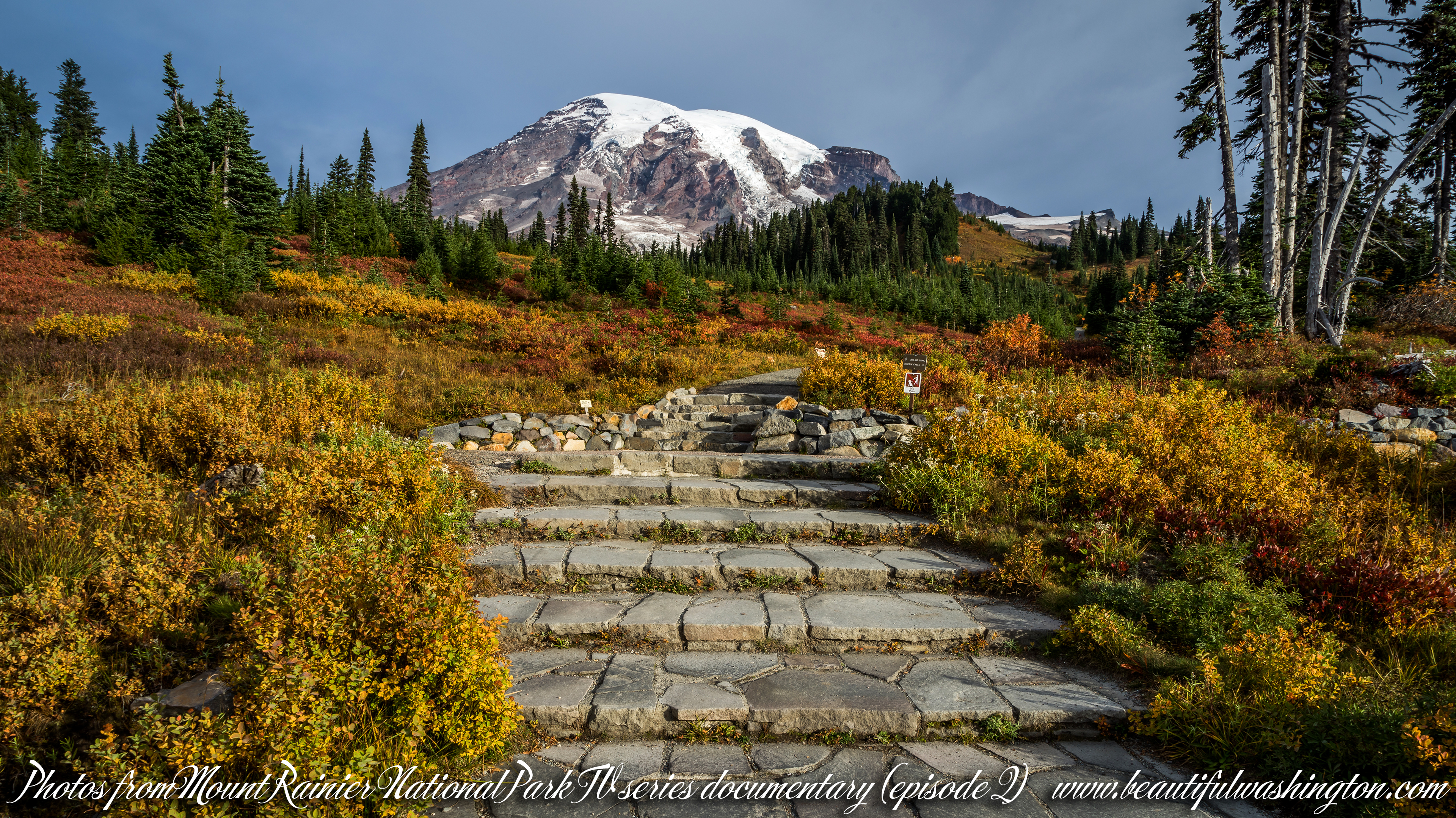 Mount Rainier National Park 11 Photo from Mount Rainier National Park