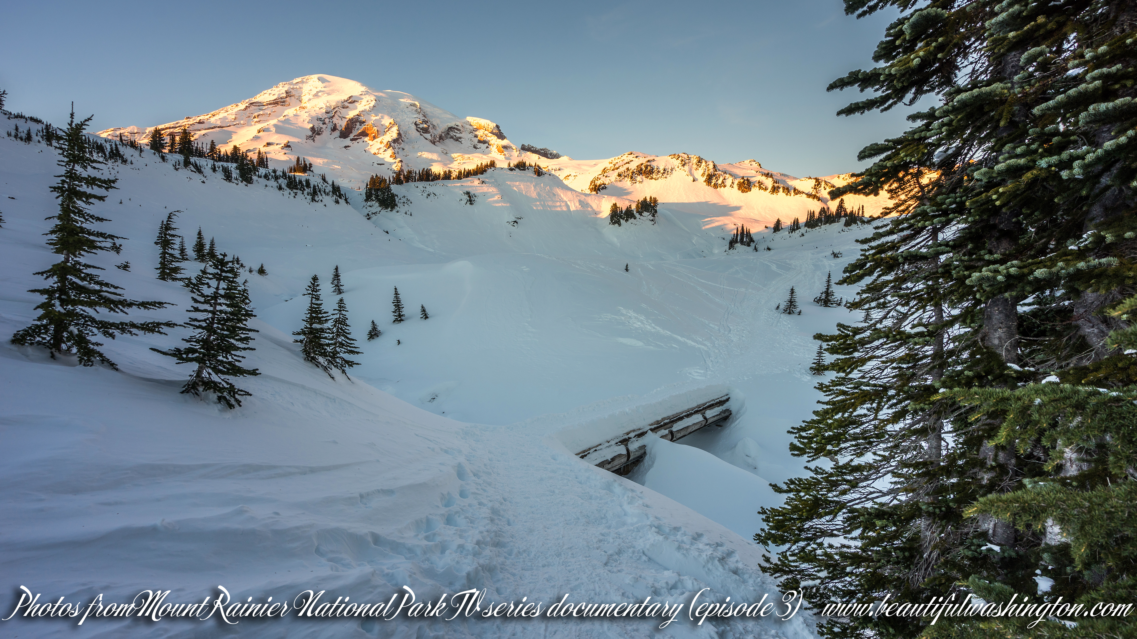 Photo from Mount Rainier National Park
