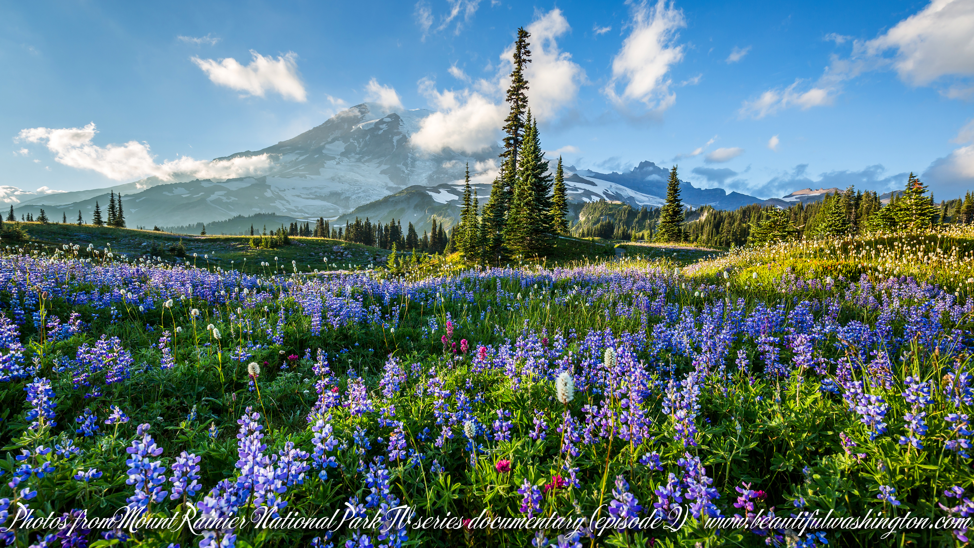 Photo from Washington State, Mount Rainier National Park