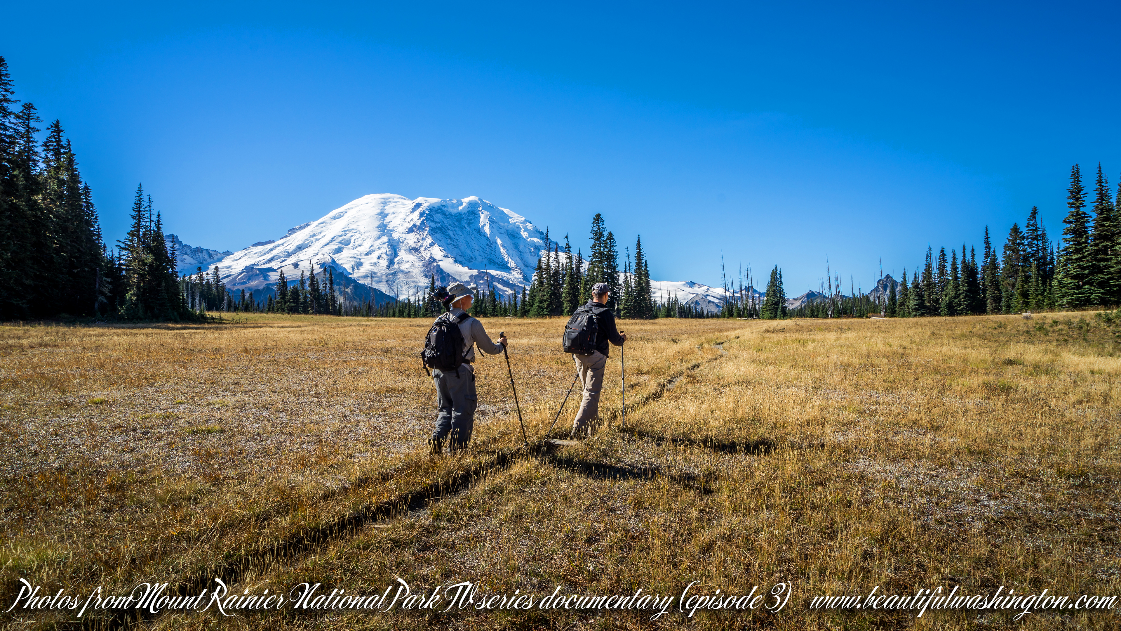 Photo from Washington State, Mount Rainier National Park