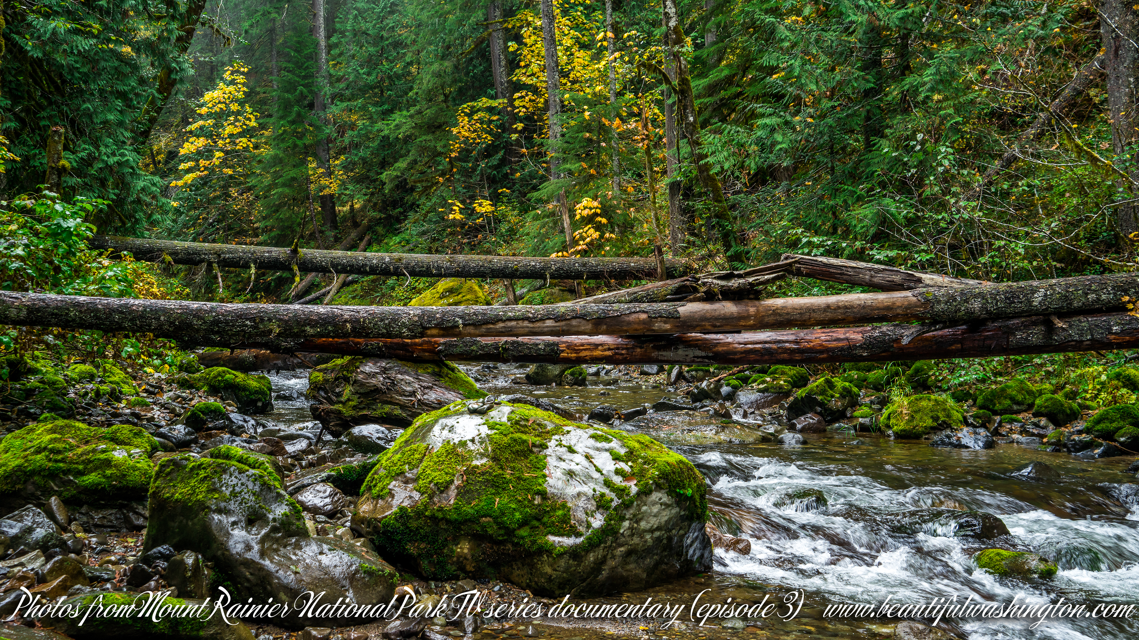 Photo from Washington State, Mount Rainier National Park