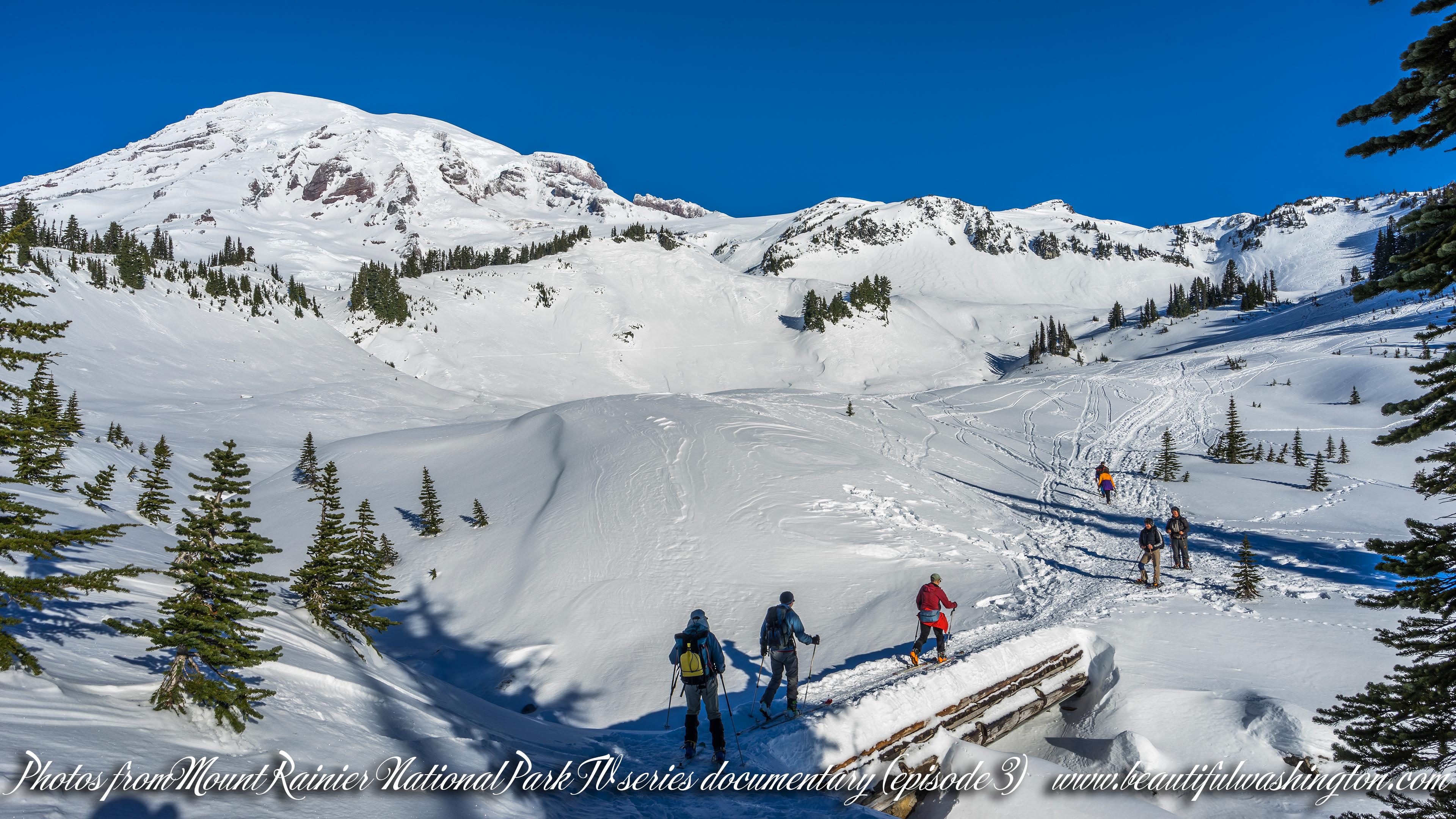 Photo from Washington State, Mount Rainier National Park