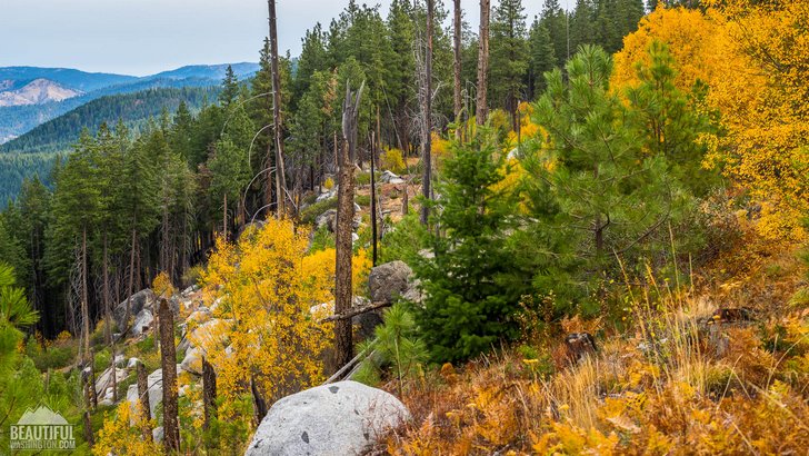 Photo from Mountain Home Road, taken in October; Leavenworth Area, Central Cascades Region