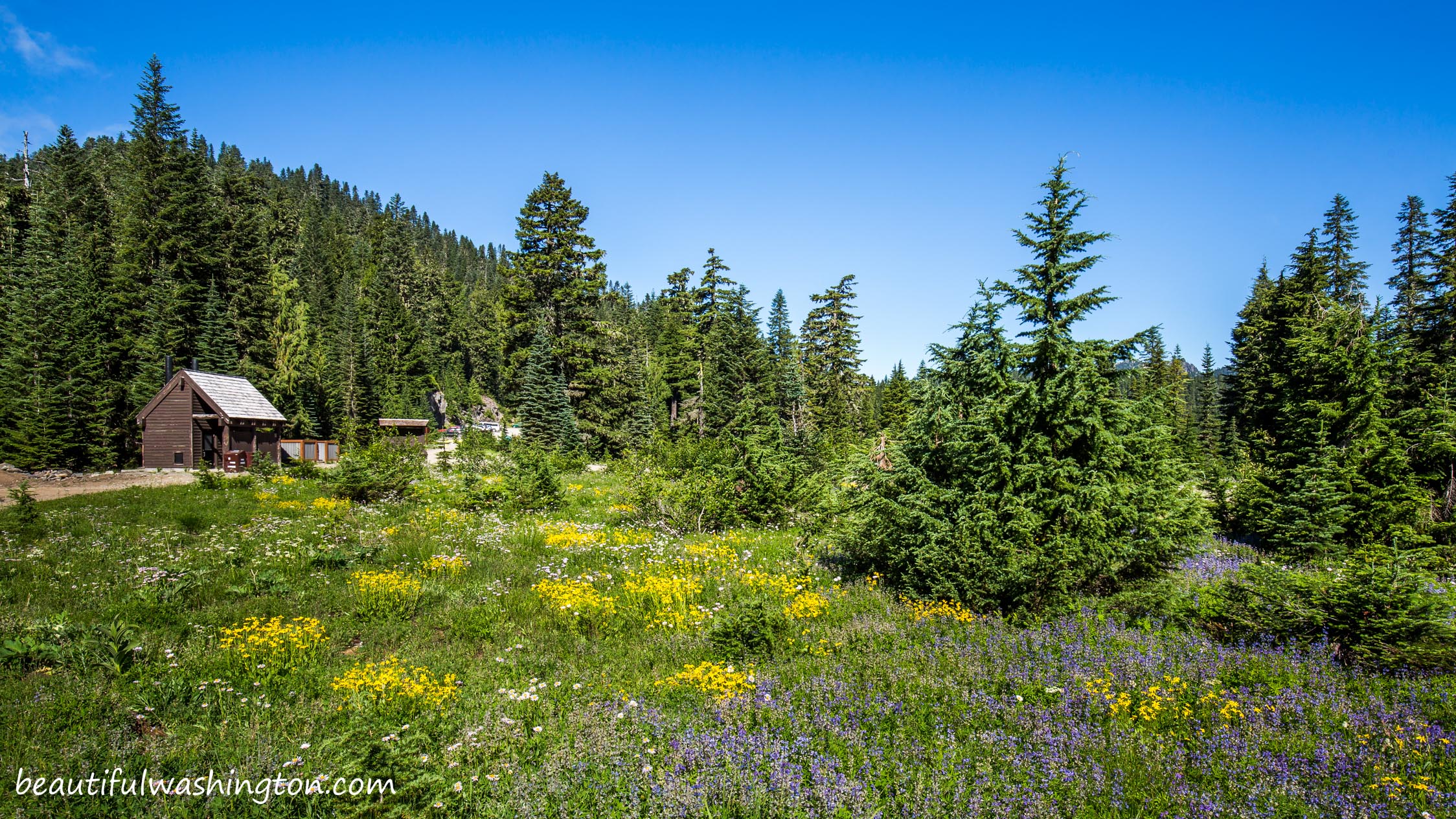 Mowich Lake Campground 5