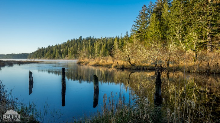 Ozette Campground