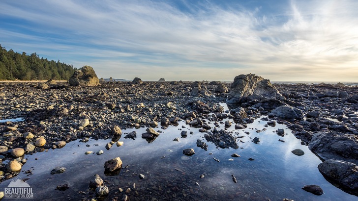Photo from Ozette Triangle Trail, Olympic Peninsula