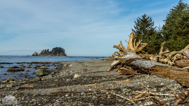 Photo from Ozette Triangle Trail, Olympic Peninsula