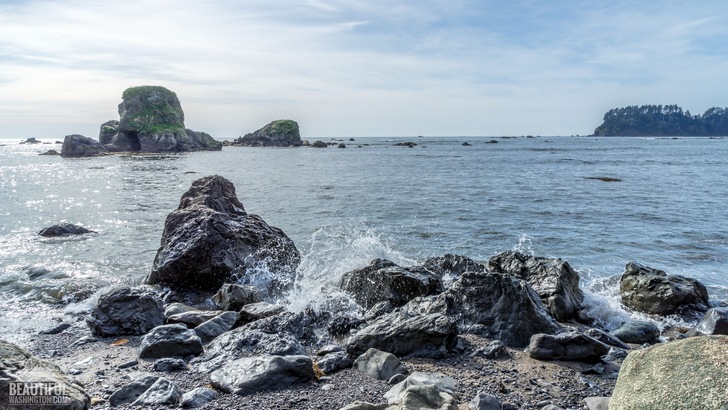 Photo from Ozette Triangle Trail, Olympic Peninsula