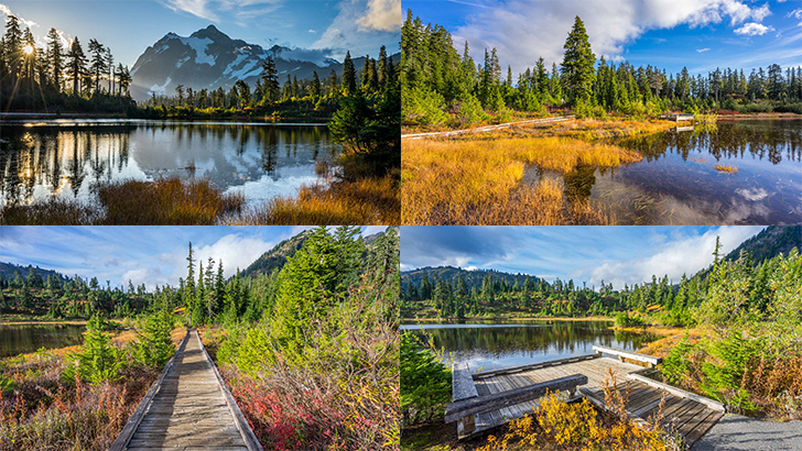 Picture Lake Trail