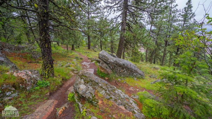Pine Ridge Trail