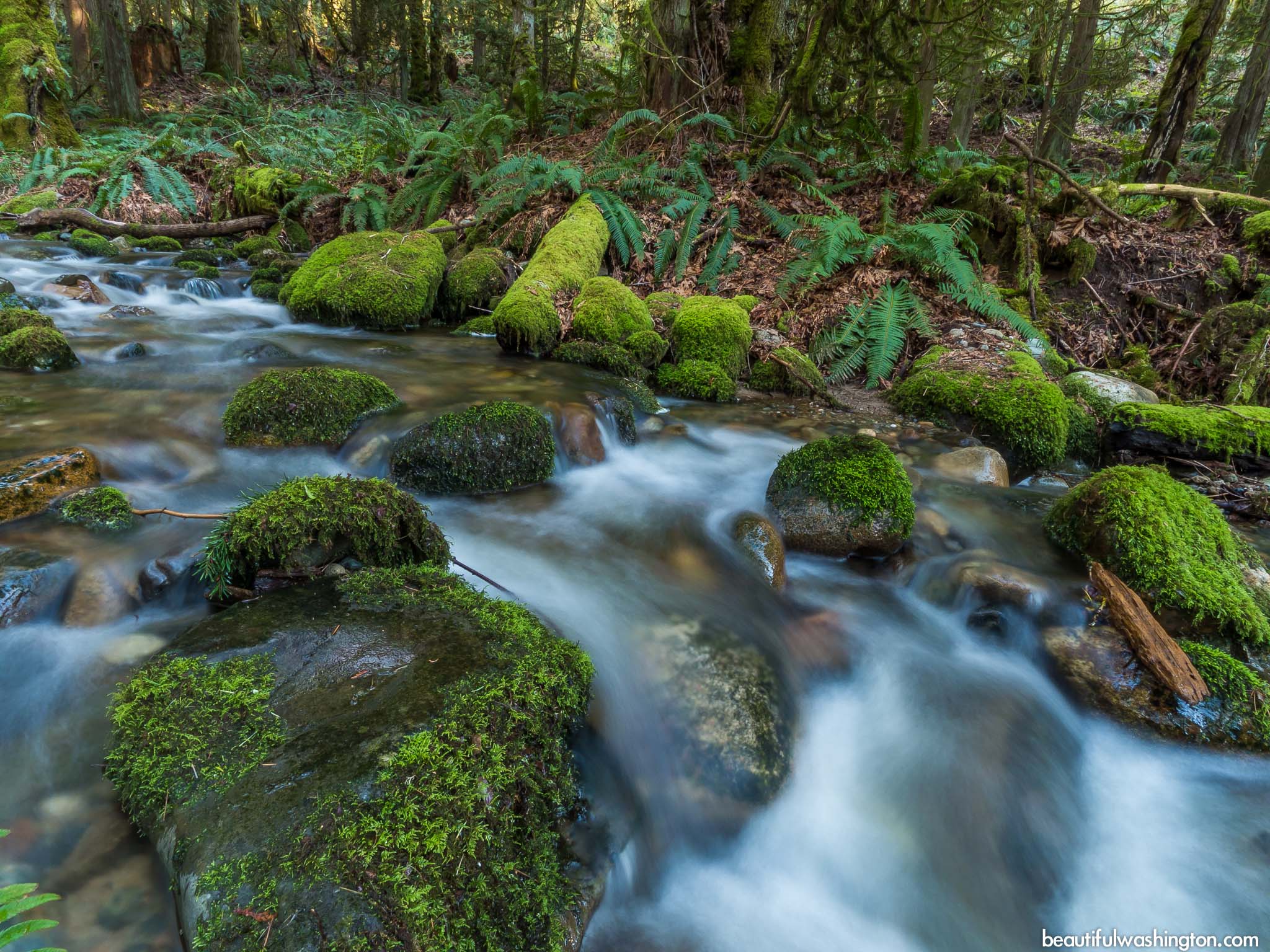 Redtown Meadow Trail 15