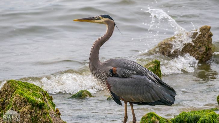 Saltwater State Park