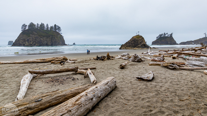 Second beach trail