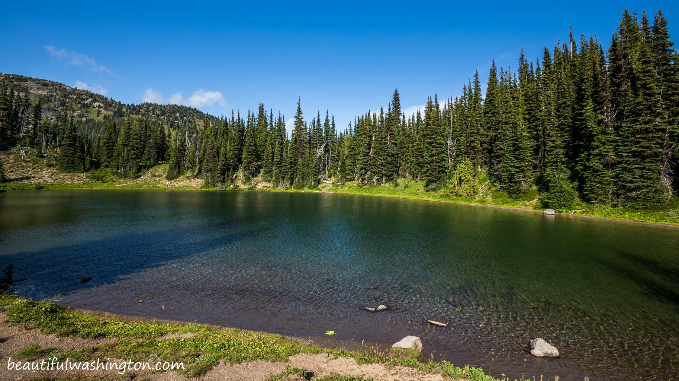 Shadow Lake Trail 10 Photo from Mount Rainier, Sunrise Area, Shadow Lake Trail