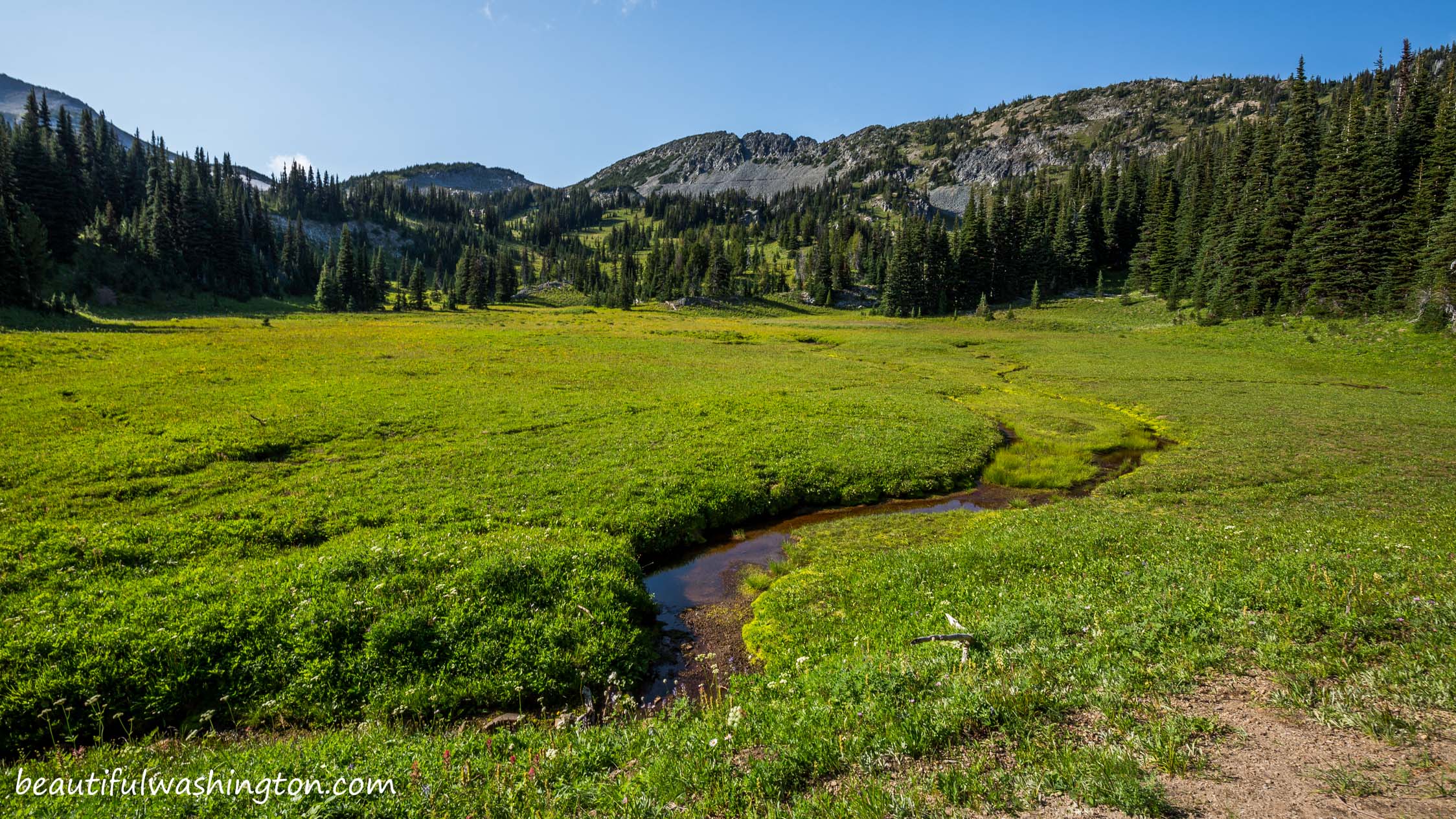 Shadow Lake Trail 14 Photo from Mount Rainier, Sunrise Area, Shadow Lake Trail