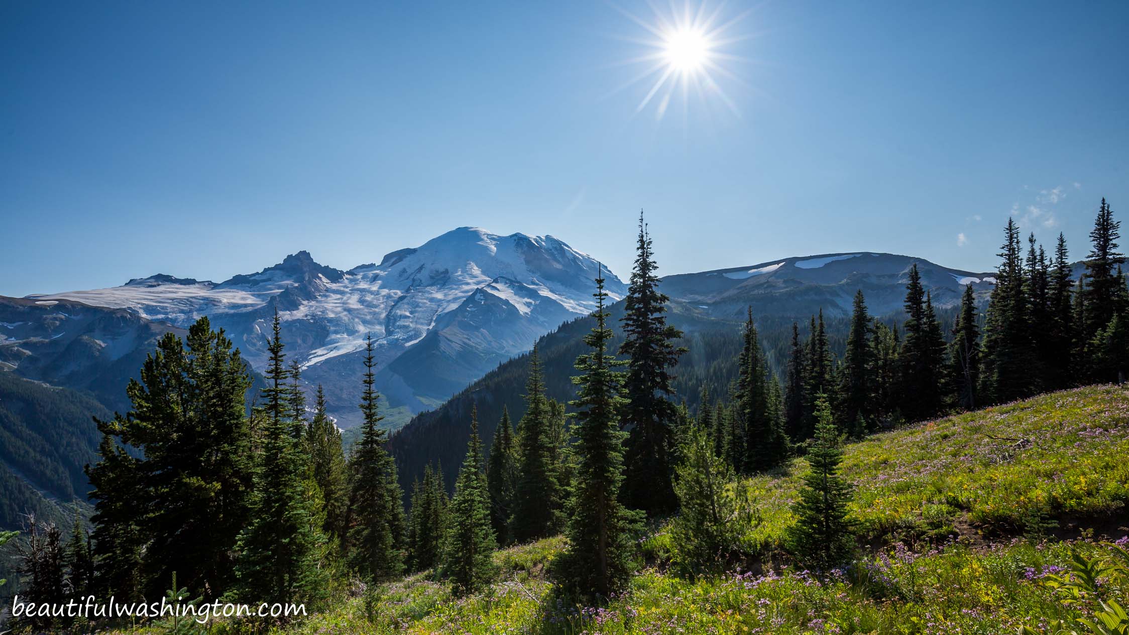 Shadow Lake Trail 17 Photo from Mount Rainier, Sunrise Area, Shadow Lake Trail