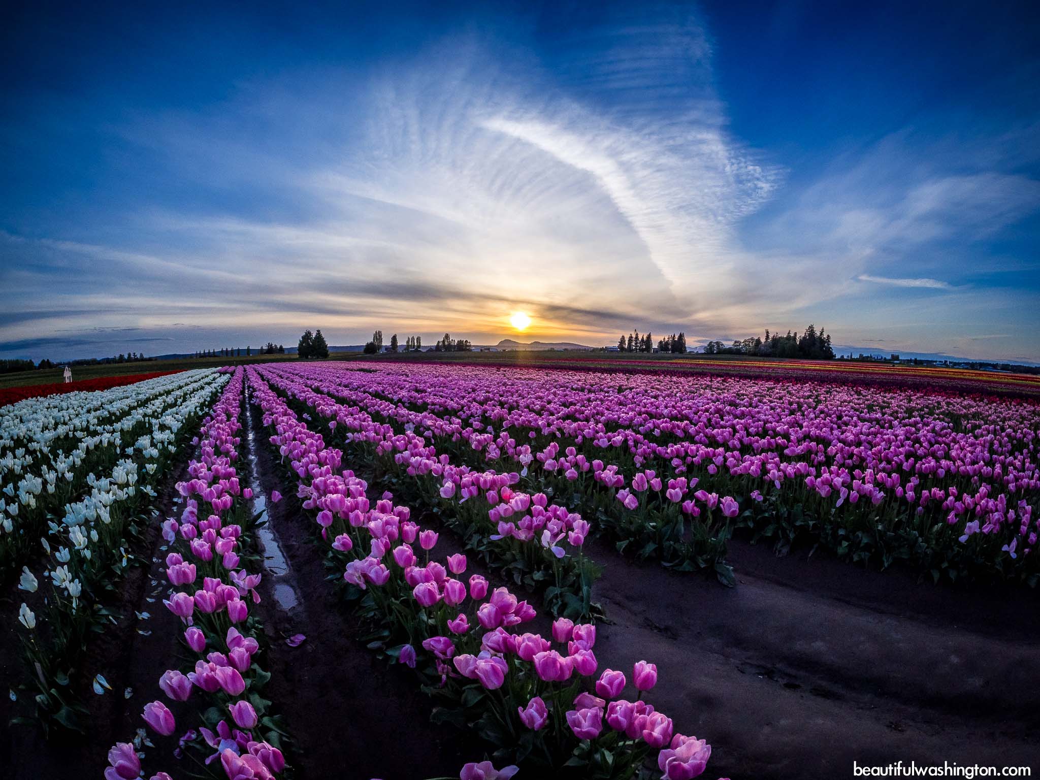 Photo from Washington State, Skagit County