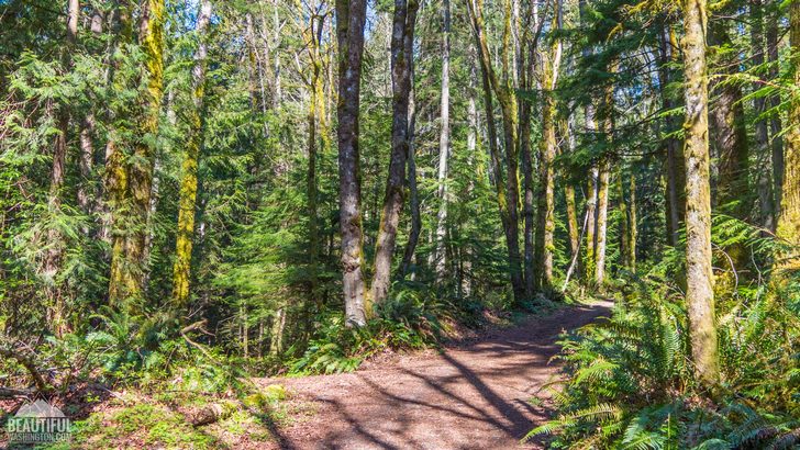 Photo taken at Spring Lake / Lake Desire Park, King County, Washington State