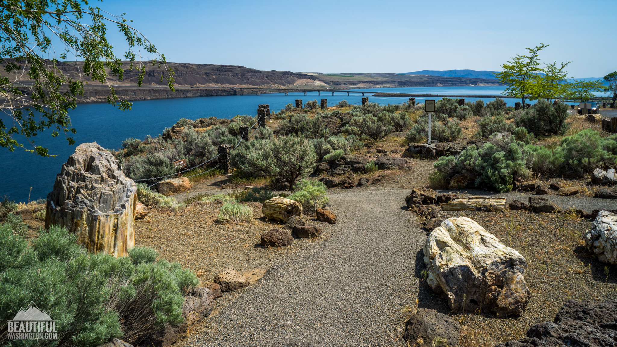 Photo of Ginkgo Petrified Forest State Park