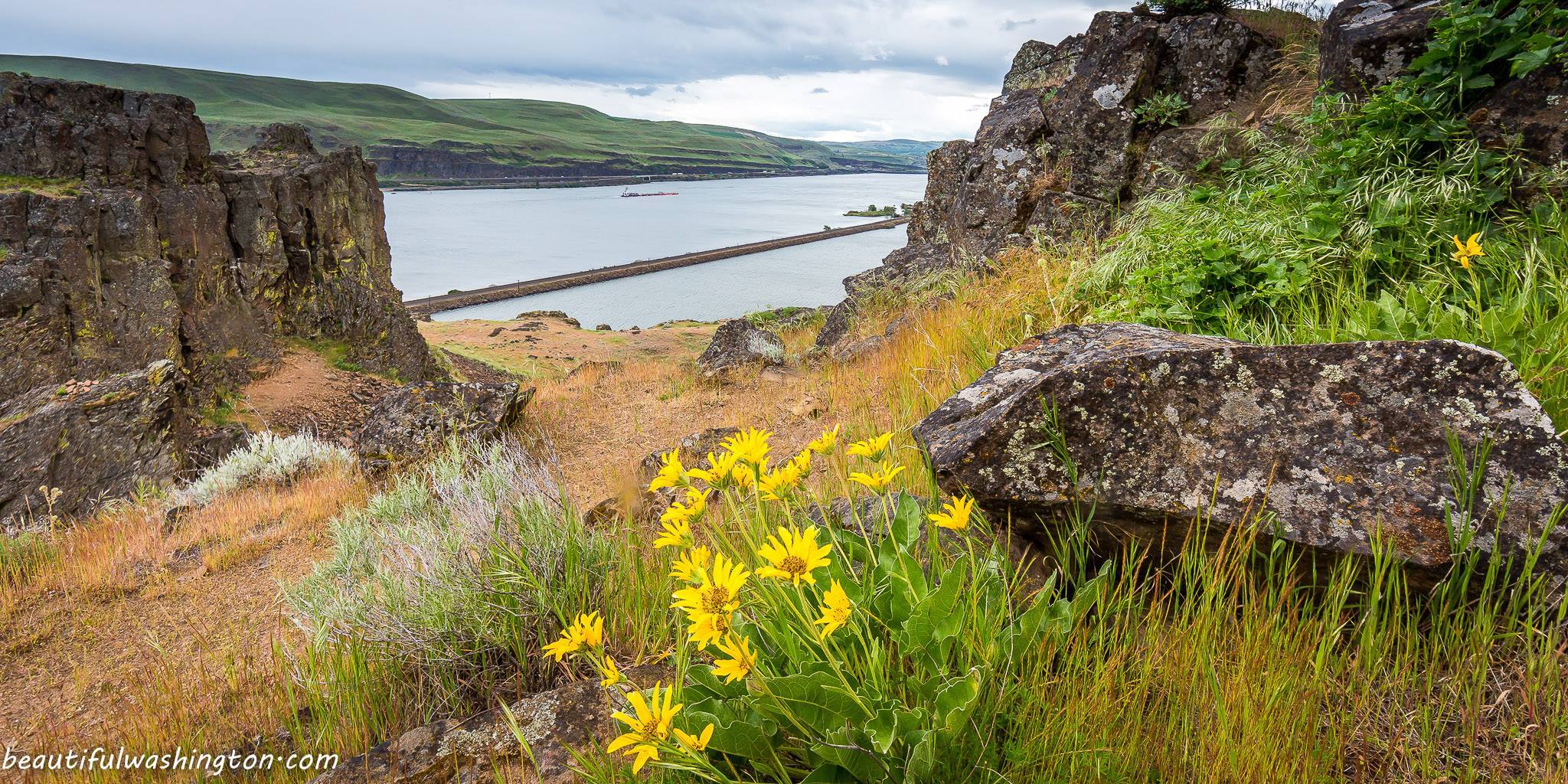 Photo from Columbia Hills State Park