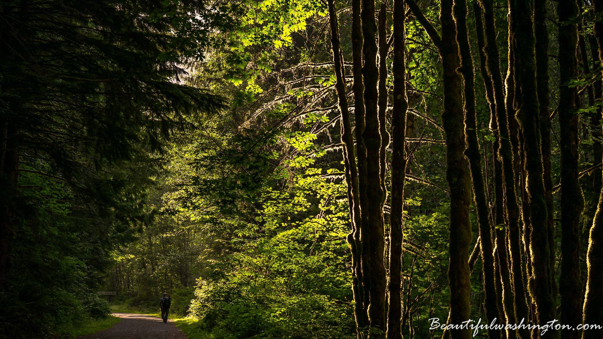 Photo from Iron Horse State Park