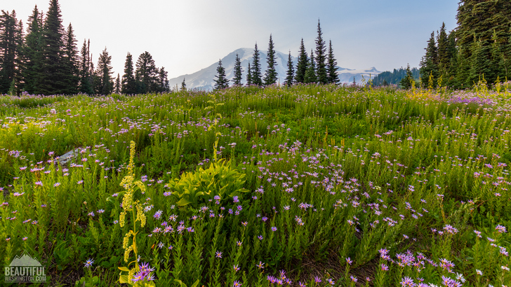 Photo taken at Mount Rainier National Park