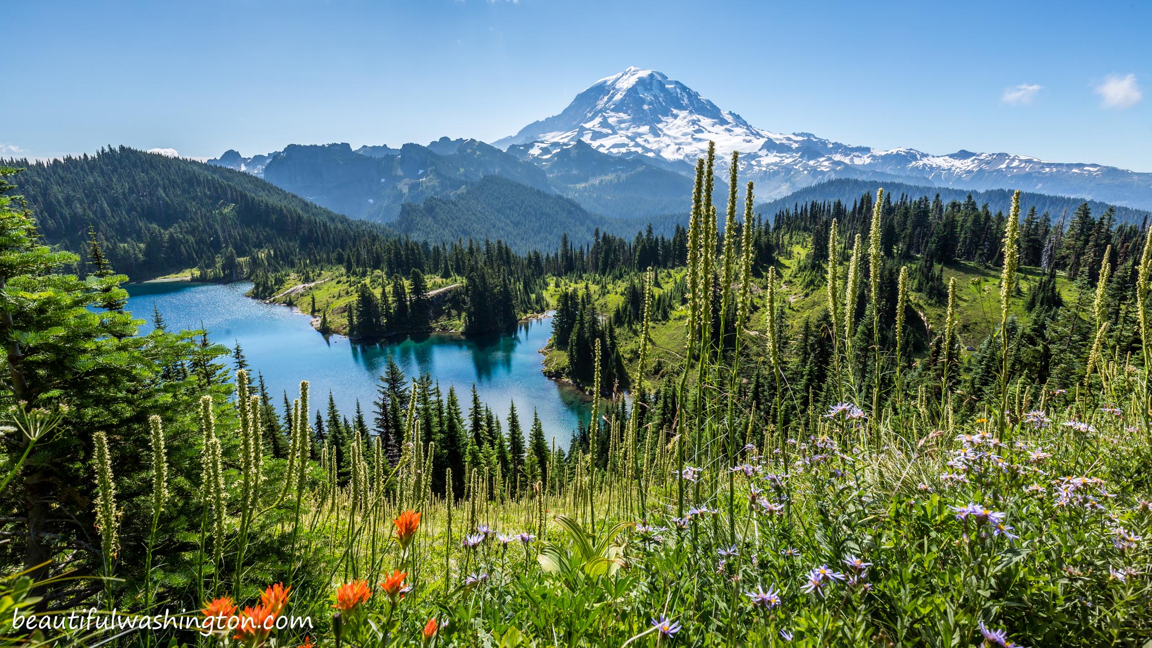 Tolmie Peak Trail 19