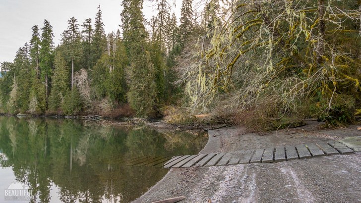 Photo taken at Willaby Campground, located on the south shore of Lake Quinault, Olympic Peninsula Region