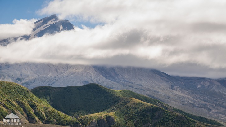 Photo made from Windy Ridge Trail, South Cascades Region, Mount St. Helens Area