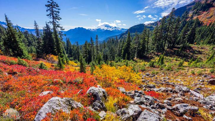 Yellow Aster Butte Trail